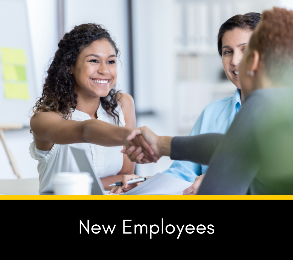New employee shaking hands with employeer