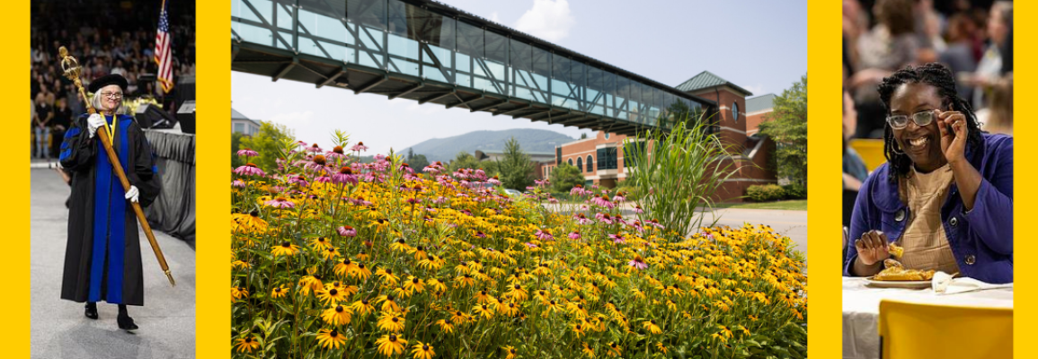 3 images in one.  Center is black-eyed susans below the Rivers Street crosswalk.  The one on the left is a faculty member carrying a graduation mace.  The one on the right is a staff member at Staff Appreciation event.
